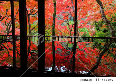 【京都府】嵐山祐斎亭の川端康成の部屋から見た紅葉 118345365