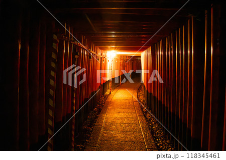 Fushimi Inari Taisha by night, in Kyoto, Japan 118345461