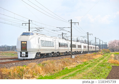 常磐線　羽鳥ー岩間　JR東日本　651系　K208編成（勝田）　スーパーひたち 118345739