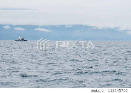 知床半島に訪れるシャチ 118345793