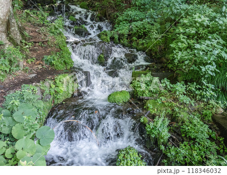 【たんばら　強清水の滝】 118346032