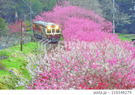 わたらせ渓谷鉄道 沢入ー神戸 WKT-501+WKT-551 トロッコわっしー わたらせ渓谷鉄道 沢入ー神戸 WKT-501+WKT-551 トロッコわっしー 118346274