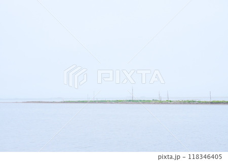 美しいトドワラ 118346405