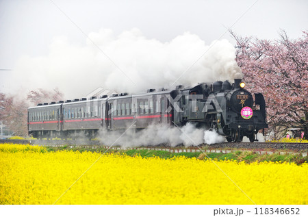 真岡鐵道　西田井ー北真岡　C11-325+50系　SLもおか 118346652