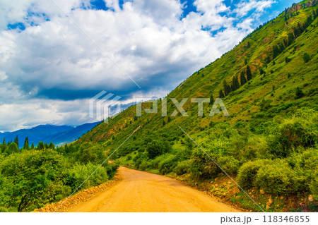 dirt road at cloudy summer day in mountains with spruce trees on slope 118346855