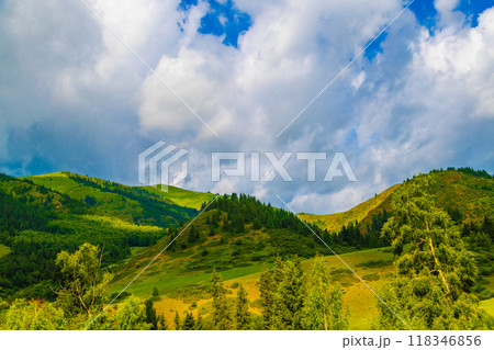 Green mountain hills with spruce forest and grassy slope on it against cloudy sky at summer day. Green mountain hills with spruce forest and grassy slope on it against cloudy sky at summer day. 118346856