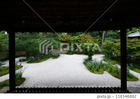 ききょう咲く源氏庭 118346882