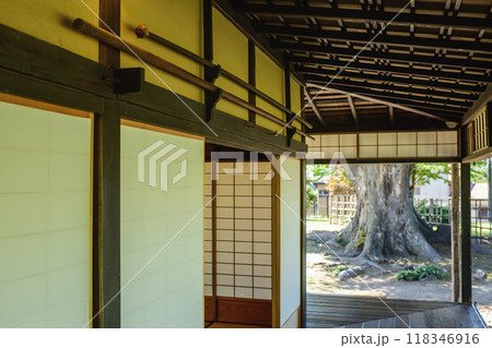 武家屋敷　蟻壁に架かる槍と欅の古木　如斯亭　秋田市 118346916