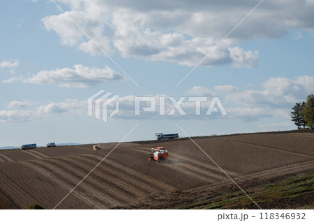 秋の畑の農作業 118346932