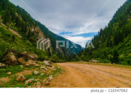 dirt road at cloudy summer day in mountains with spruce forest on slopes dirt road at cloudy summer day in mountains with spruce forest on slopes 118347062