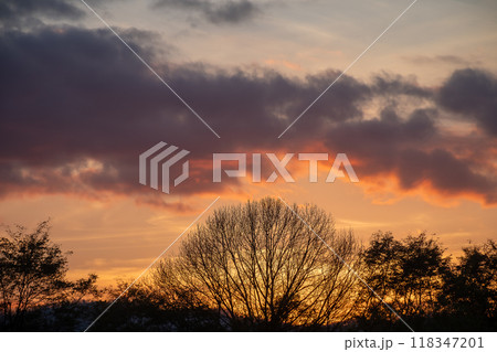 美しい秋の夕暮れの空と冬木立のシルエット 美しい秋の夕暮れの空と冬木立のシルエット 118347201