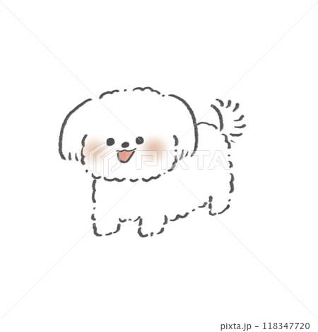 元気なマルチーズのイラスト 118347720