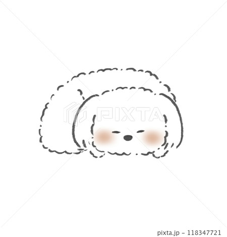 マルチーズが寝ているイラスト 118347721