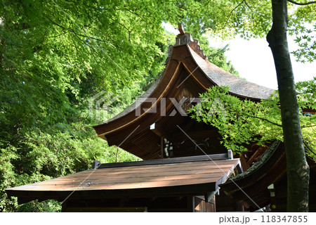 青もみじに囲まれた北野天満宮　猿田彦社 118347855