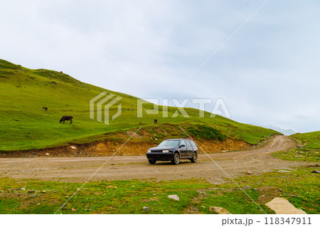 black car on wet dirt road in the mountain hills in front of grazing cows on green pasture at rainy day black car on wet dirt road in the mountain hills in front of grazing cows on green pasture at rainy day 118347911