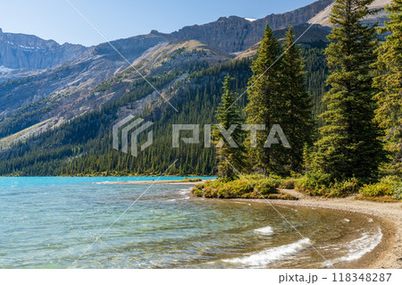 Bow Lake lakeshore in summer sunny day. Bow Glacier, Banff National Park, Canadian Rockies, Alberta, Canada. Bow Lake lakeshore in summer sunny day. Bow Glacier, Banff National Park, Canadian Rockies, Alberta, Canada. 118348287