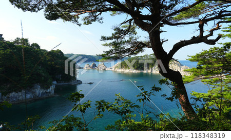 展望台から見た浄土ヶ浜 118348319