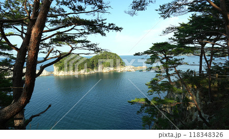 展望台から見た浄土ヶ浜 118348326