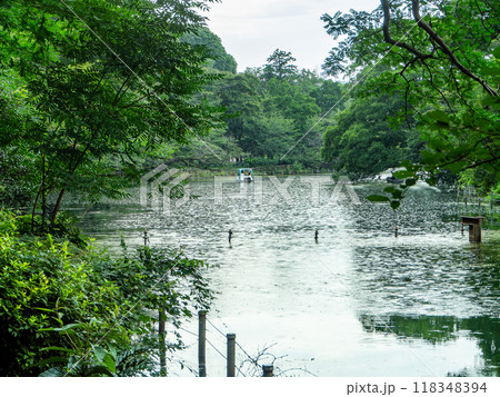 夏の水辺の景色　夕立 118348394
