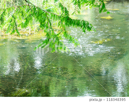 夏の水辺の景色　夕立 118348395