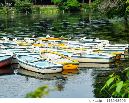 夏の水辺の景色　ローボート 118348406