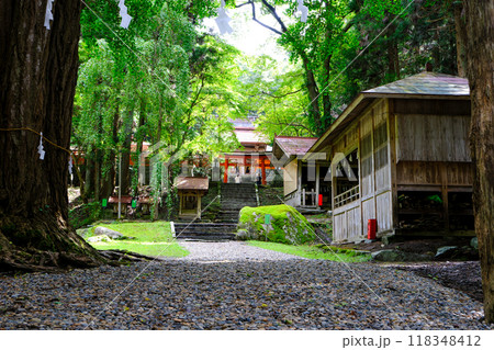 新緑の丹内山神社 新緑の丹内山神社 118348412