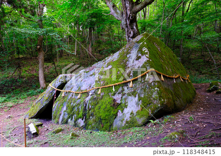 胎内石2 118348415