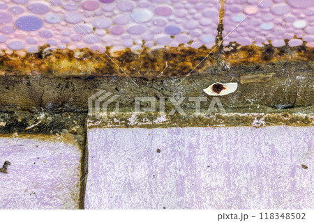 filthy dirty bathroom shower floor corner 118348502