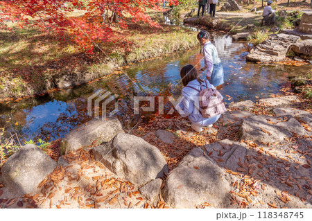 岐阜県郡上市 秋のひるがの高原分水嶺公園で水面を眺める親子さん 岐阜県郡上市 秋のひるがの高原分水嶺公園で水面を眺める親子さん 118348745