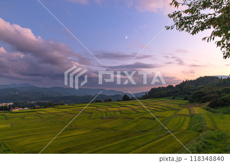 夕暮れの椹平の棚田 夕暮れの椹平の棚田 118348840