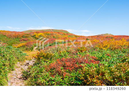 秋の焼石岳登山（銀明水避難小屋～姥石平） 118349260