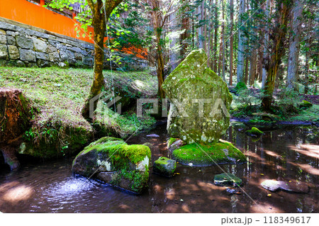 神泉池と森 神泉池と森 118349617