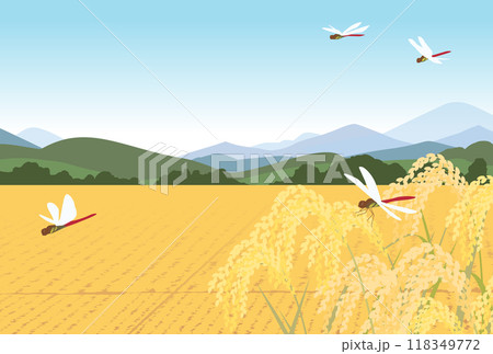 秋の稲田と赤トンボのイラスト 秋の稲田と赤トンボのイラスト 118349772