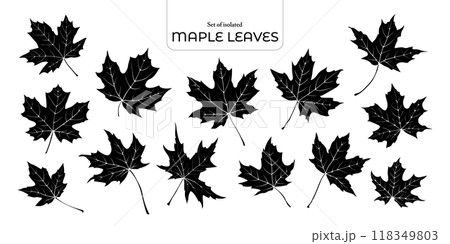Set of isolated maple leaves. Cute Autumn foliage illustration in hand drawn style. Black silhouette on transparent background. Set of isolated maple leaves. Cute Autumn foliage illustration in hand drawn style. Black silhouette on transparent background. 118349803