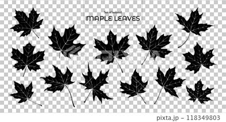 Set of isolated maple leaves. Cute Autumn foliage illustration in hand drawn style. Black silhouette on transparent background. Set of isolated maple leaves. Cute Autumn foliage illustration in hand drawn style. Black silhouette on transparent background. 118349803