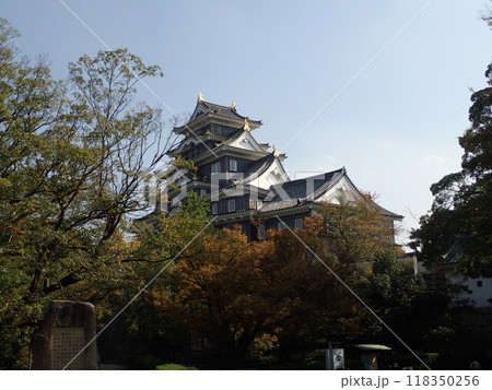 岡山県岡山市北区にあり豊臣秀吉の家臣、宇喜多秀家が築城した不等辺五角形をした三層六階建ての岡山城 118350256