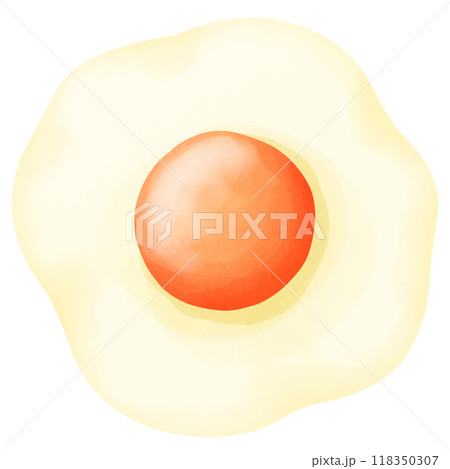 egg shell isolated on white background 118350307