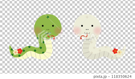 Pair of snakes Vector illustration 118350624