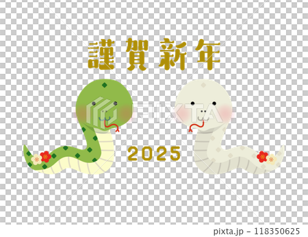Happy New Year Pair of snakes Vector illustration 118350625