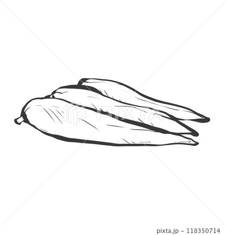 鶏ささみの手書き筆絵風イラスト 118350714