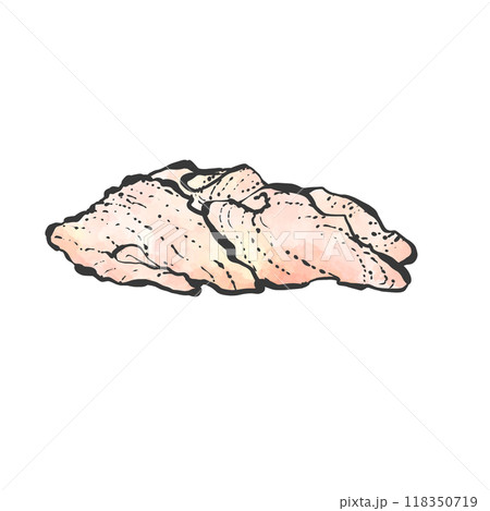 鶏皮の手書き筆絵風イラスト 118350719