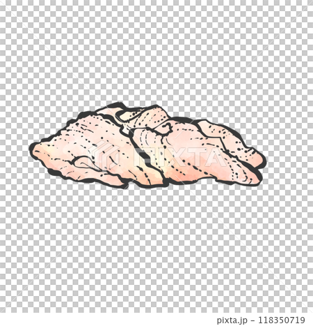 鶏皮の手書き筆絵風イラスト 118350719