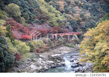 京都　紅葉の嵯峨野トロッコ列車と渓谷　 118350791