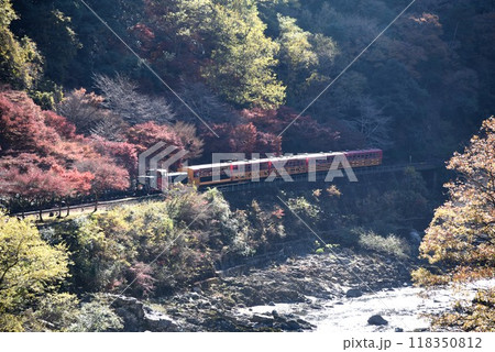 京都 紅葉の嵯峨野トロッコ列車と渓谷 京都 紅葉の嵯峨野トロッコ列車と渓谷 118350812