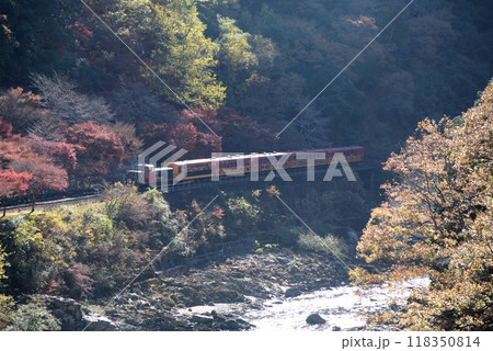 京都 紅葉の嵯峨野トロッコ列車と渓谷 京都 紅葉の嵯峨野トロッコ列車と渓谷 118350814