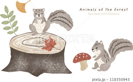 秋が来た森で暮らすリスたちのイラスト 秋が来た森で暮らすリスたちのイラスト 118350943