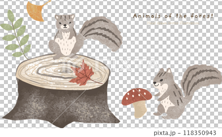 秋が来た森で暮らすリスたちのイラスト 秋が来た森で暮らすリスたちのイラスト 118350943