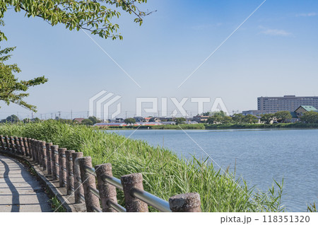 埼玉 伊佐沼(川越市) 埼玉 伊佐沼(川越市) 118351320