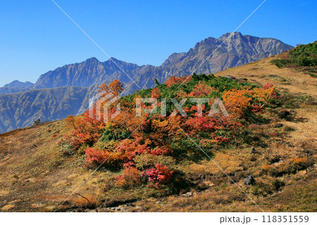 五竜岳･鹿島槍ヶ岳と鮮やかな紅葉 118351559