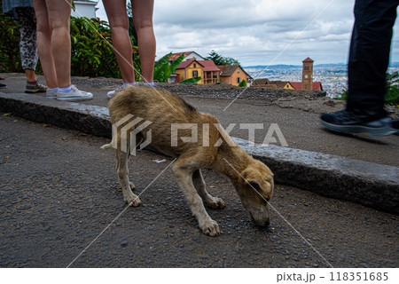 マダガスカルの街並み 118351685